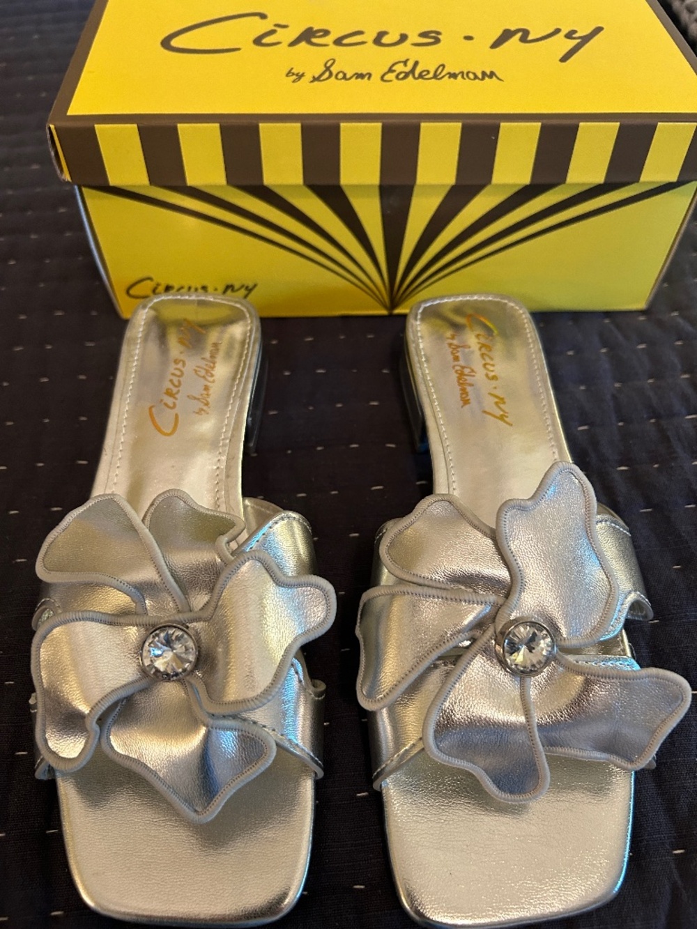 Sam Edelman, Jolie, Silver 6M New-never worn
